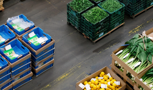 pallets-fresh-produce-boxes-emphasizing